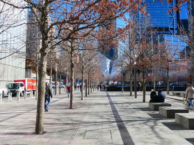 NYC_2020-01-29 13-16-37_P1080535
